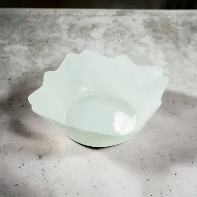 Činija 25cm-rogljasta (3)