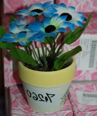 Saksija sa cvećem B