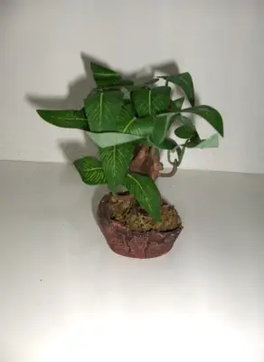 Figura drvce u saksiji PB