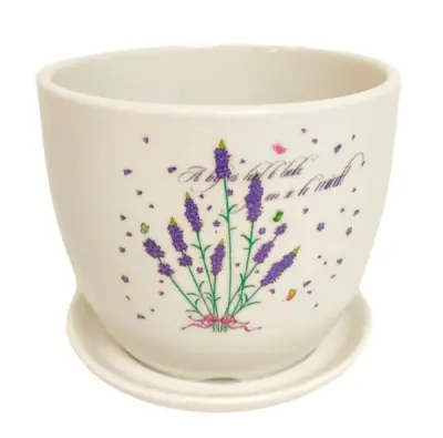 Saksija D:12cm H:11cm(9)