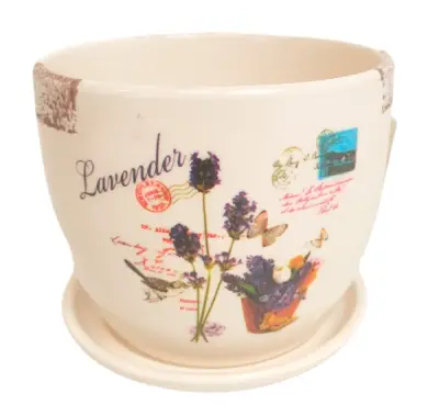 Saksija D:12cm H:11cm(9)