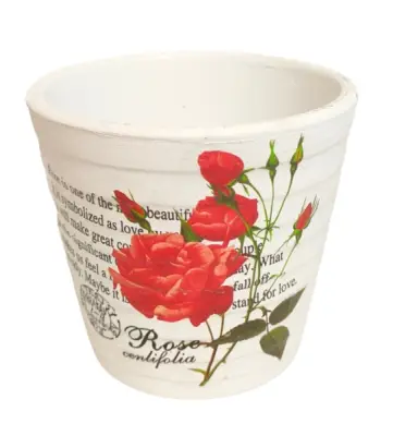 Saksija D:9.5cm H:8.5cm(12)