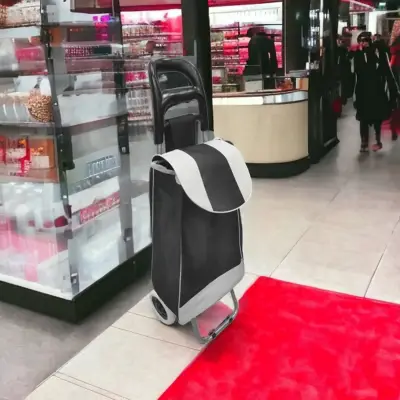 Kolica za pijac 95*33*20 EVA