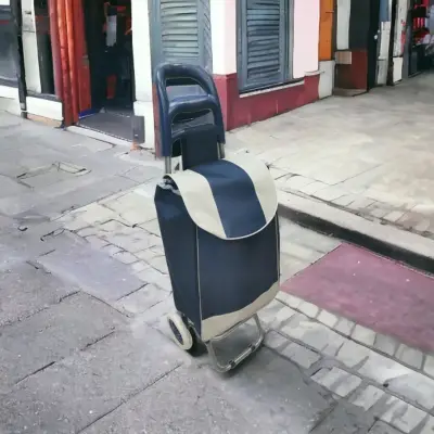 Kolica za pijac 95*33*20 EVA