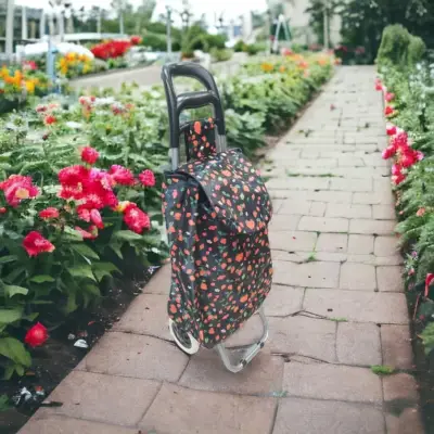 Kolica za pijac 95*33*20 EVA