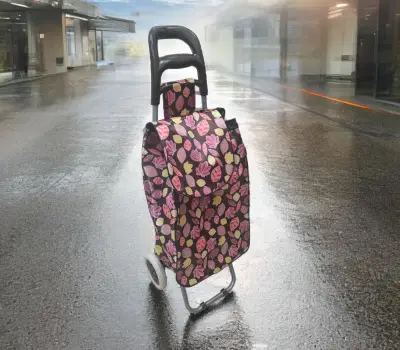 Kolica za pijac 95*33*20 EVA