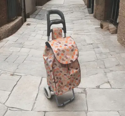 Kolica za pijac 95*33*20 EVA