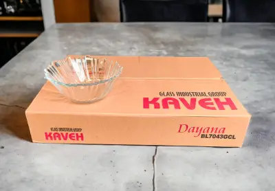 Činija DAYANA 1/6 305cc